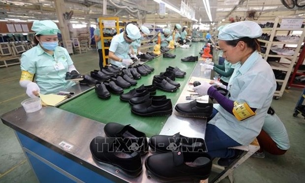 Vietnamese economy to perform well: AMRO